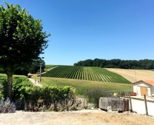 Relax, Refresh, Recharged 2